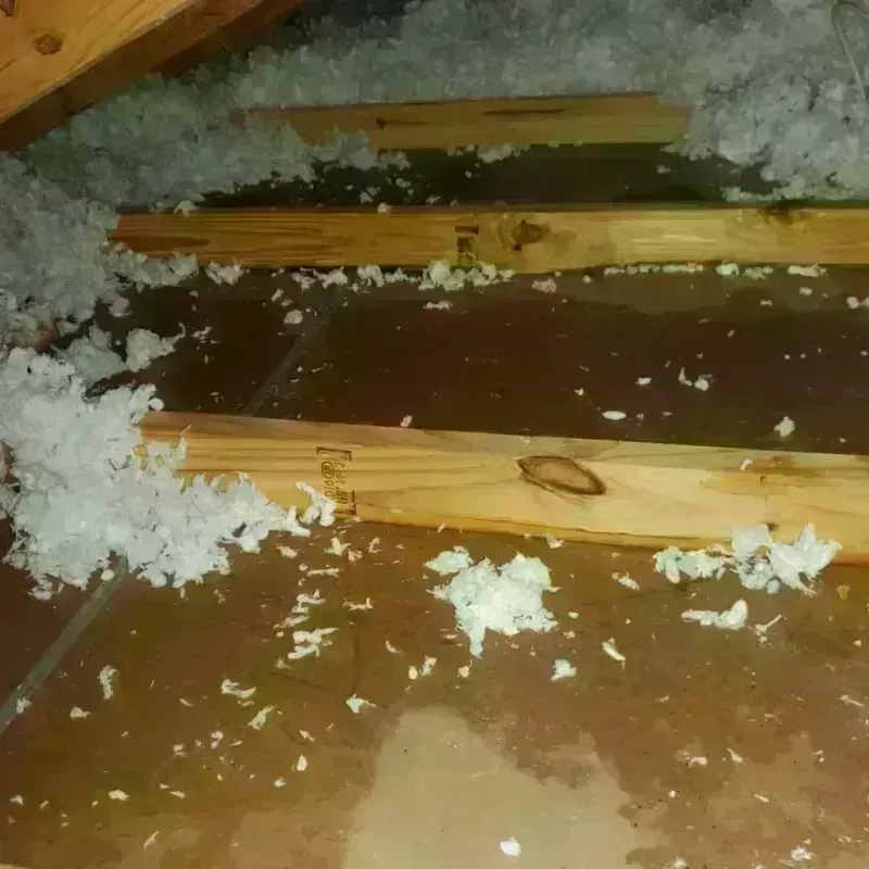 Attic Water Damage in Molalla, OR