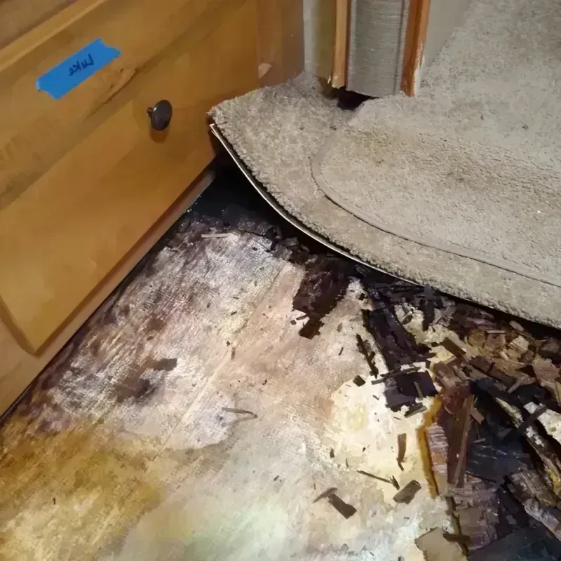 Best Wood Floor Water Damage Service in Molalla, OR